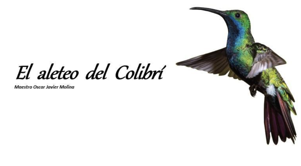 Pieza sonora para acuaponía El aleteo del colibrí